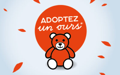 Venez adopter votre ours en peluche le 23 décembre